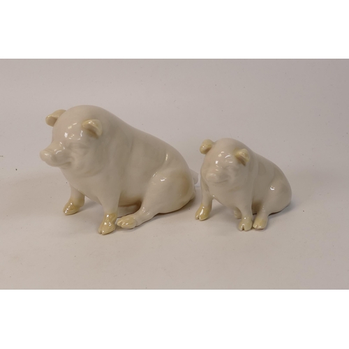 482 - Bellek Potter Novelty Pig Figures, tallest 7.5cm(2)