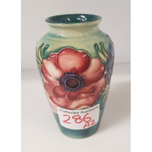 286 - Moorcroft Anemone Pattern Vase on Graduated Green Ground. h: 10cm