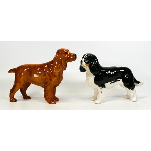 243 - Beswick King Charles Spaniel 2107B and a Cocker Spaniel (2)