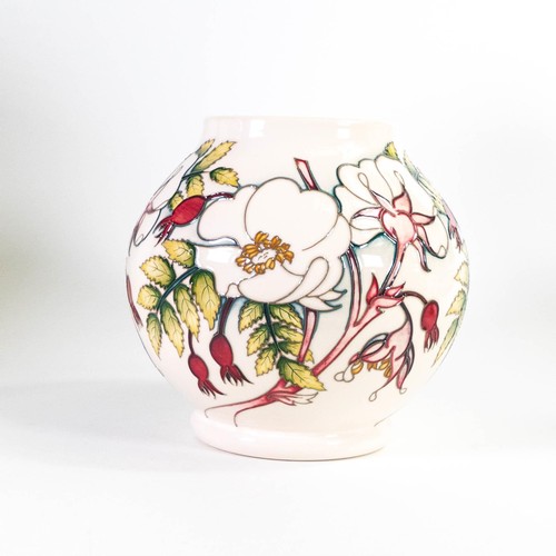 542 - Moorcroft RHS Rosa vase. Number 80 of a special edition and signed by designer Nicola Slaney. Height... 