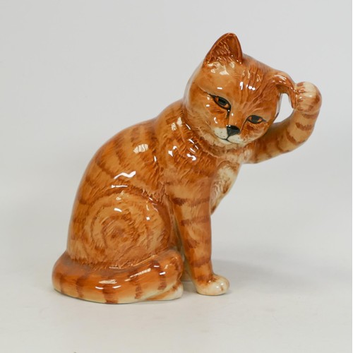 738 - Beswick cat scratching it's ear 1877 in ginger Swiss roll colourway.