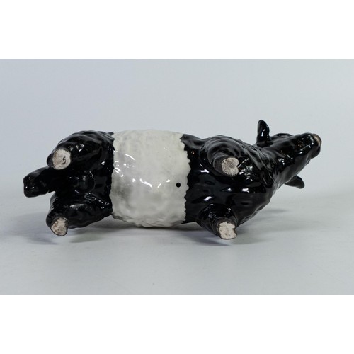 778 - Beswick rare Belted Galloway bull 1746B.