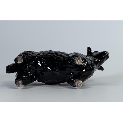 780 - Beswick black Galloway bull 1746A.