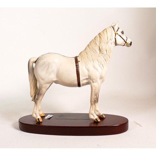 785 - Beswick Champion Welsh Mountain pony Gredington Simwit on wooden plinth.