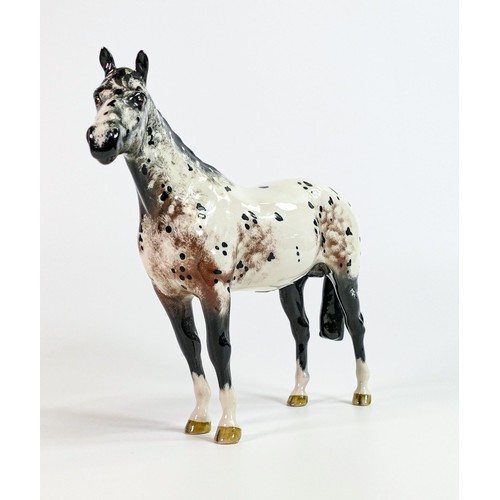 795 - Beswick Appaloosa Horse 1772, chip to tip of ear