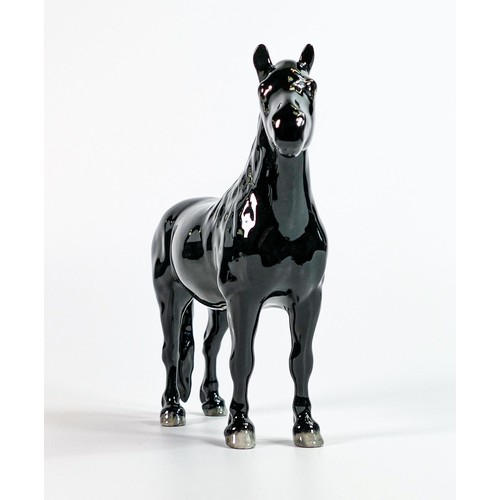 804 - Beswick model of a Fell pony in black gloss 1647