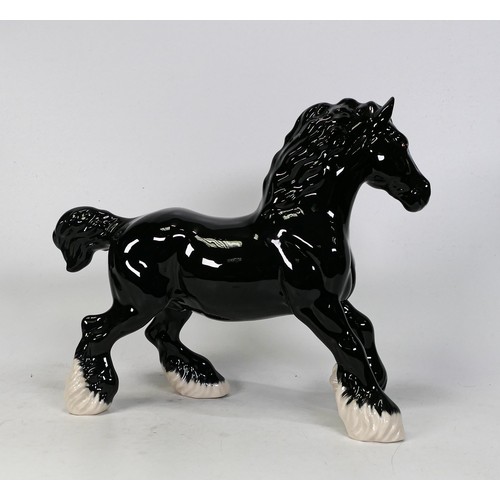 818 - Beswick black cantering Shire horse 975 BCC special with gold stamp, boxed