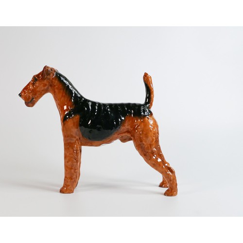 1075 - Royal Doulton large model of an Airedale terrier HN1022, Ch Cotsford Topsail, h.20cm.