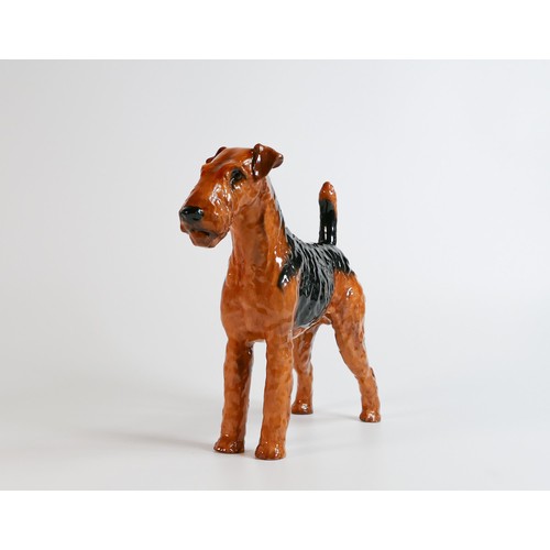 1075 - Royal Doulton large model of an Airedale terrier HN1022, Ch Cotsford Topsail, h.20cm.