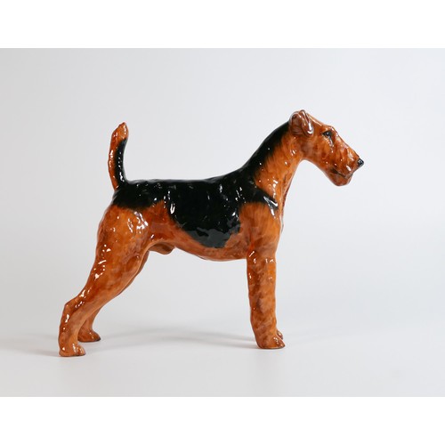 1075 - Royal Doulton large model of an Airedale terrier HN1022, Ch Cotsford Topsail, h.20cm.