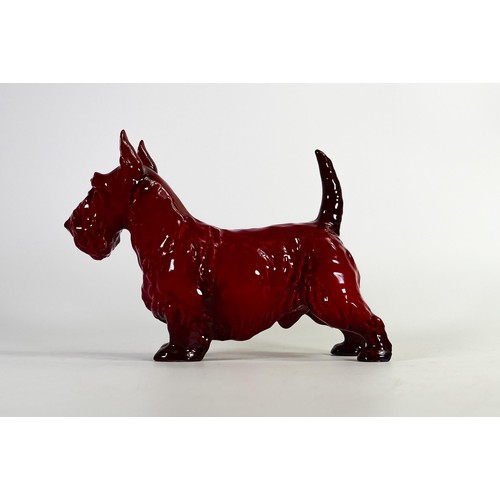 1085 - Royal Doulton rare Flambe large model of a Champion Scottish terrier Albourne Arthur, h.18