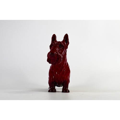 1085 - Royal Doulton rare Flambe large model of a Champion Scottish terrier Albourne Arthur, h.18