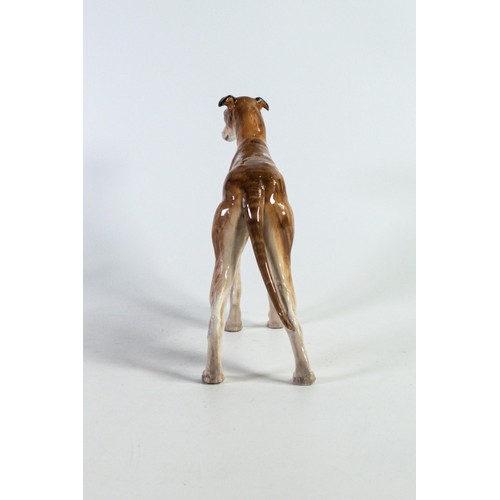 1098 - A Royal Doulton model of a greyhound HN1065. Height 21cm