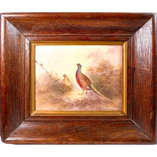 1452 - 'J. Coleman', Crown Devon Fielding, hand painted framed Edwardian tile depicting pheasant cock and h... 