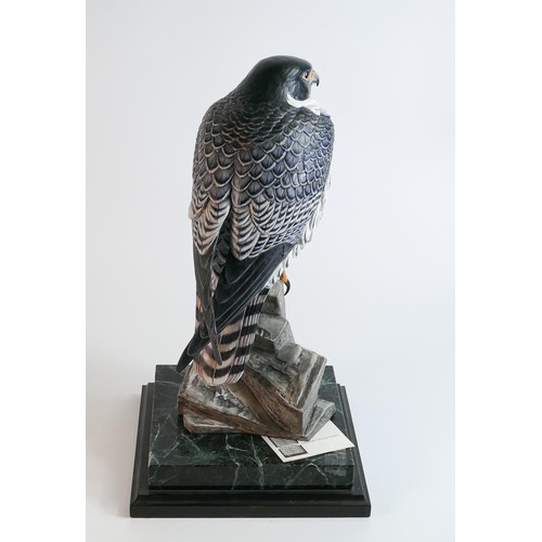 1496 - Very large Renaissance Ceramic sculpture figure of Peregrine falcon, limited edition with certificat... 