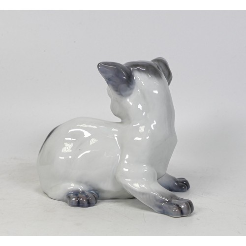 1527 - Royal Copenhagen figure kitten, height 11.5cm