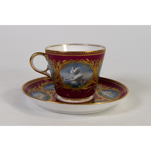 1595 - 19th century Spode cup & saucer, gilded and hand painted with swans & various birds. (2)