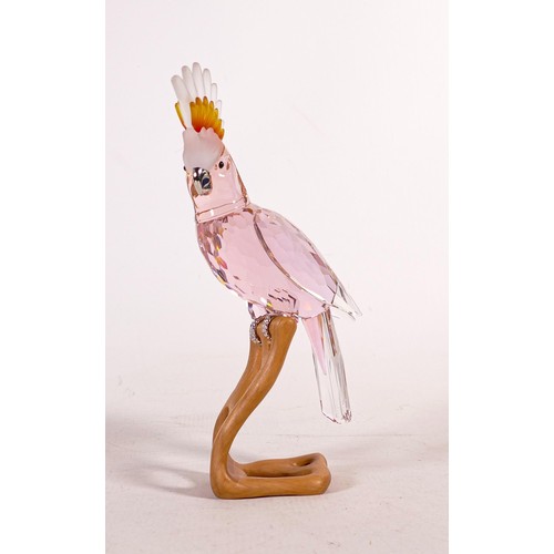 1728 - Swarovski crystal Paradise Birds red Cockatoo, height 24cm