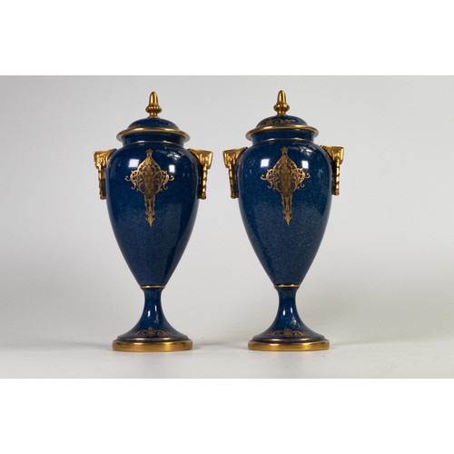 1901 - Pair of Royal Worcester two handled gilded vase and covers, hand painted panels of fruit by W Bee on... 