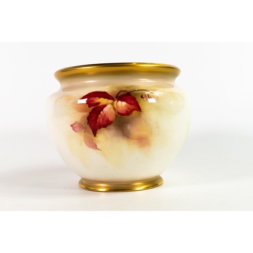 1925 - Royal Worcester planter decorated with fruit by K Blake, shape F132, puce factory mark, good conditi... 