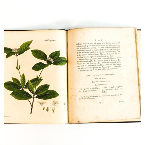 1991 - Lettsom - Natural History of the Tea Tree, 1799.  Contains coloured botanical plants.