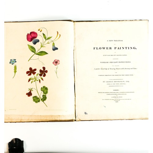 1994 - BROOKSHAW (GEORGE) A NEW TREATISE ON FLOWER PAINTING, book dated 1816.