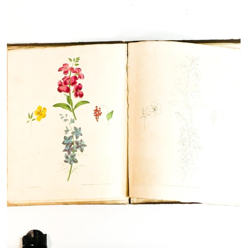 1994 - BROOKSHAW (GEORGE) A NEW TREATISE ON FLOWER PAINTING, book dated 1816.