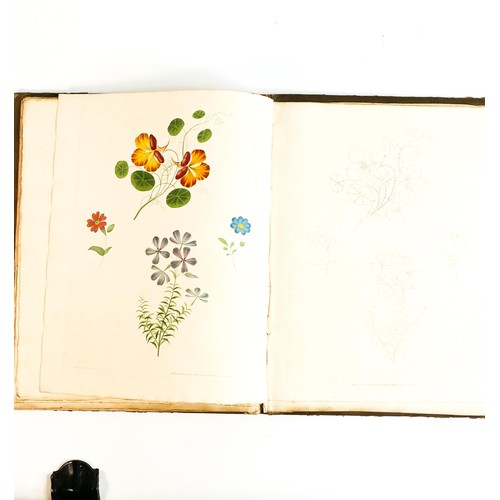 1994 - BROOKSHAW (GEORGE) A NEW TREATISE ON FLOWER PAINTING, book dated 1816.