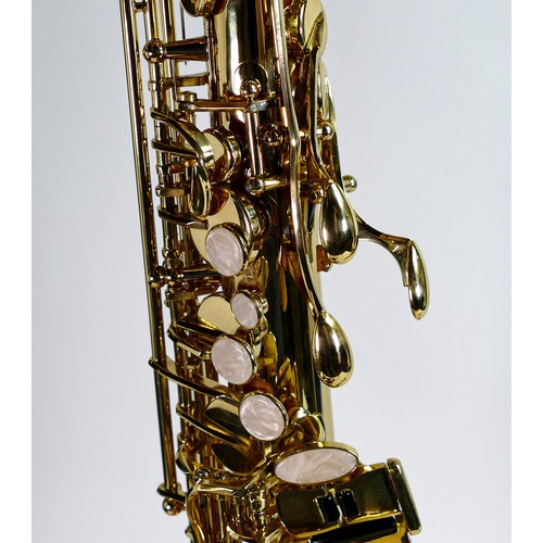 2208 - Cased J Michael Alto Saxophone Outfit.