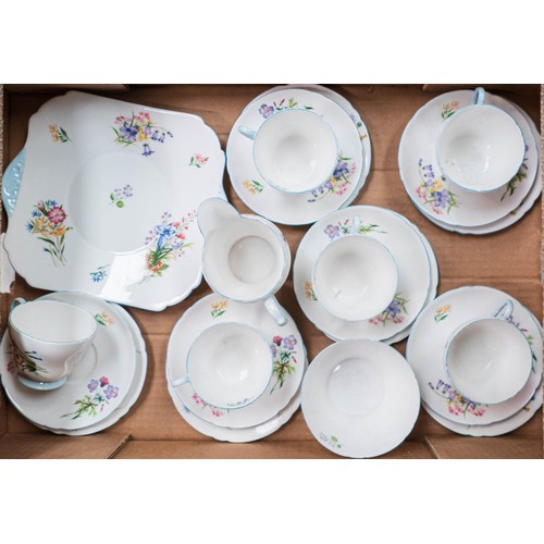 1848 - Shelley Wild Flowers pattern Richmond shaped tea set (21 piece)