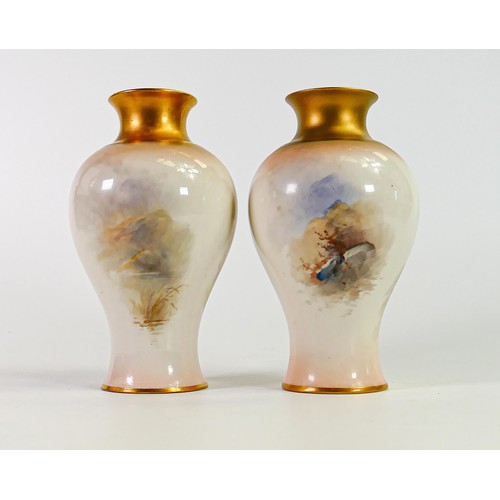 1903 - Royal Worcester pair of gilded vases decorated with highland cattle by H Stinton, shape 2471, puce f... 