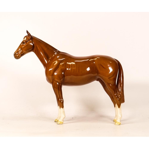 341 - Beswick Chestnut Imperial horse 1557.tiny chip to tip of 1 ear