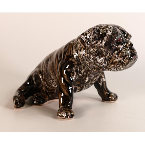 47 - Anita Harris model of a Bulldog sitting . Gold signed to base, height 13.5cm, length 20cm