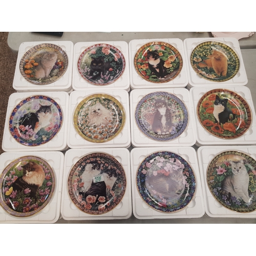 558 - A collection of decorative wall plates, Danbury Mint 'Cats Among the Flowers' series by Lesley Anne ... 