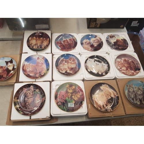 559 - A collection of decorative wall plates, Danbury Mint 'Purrfect Portraits' series (13)