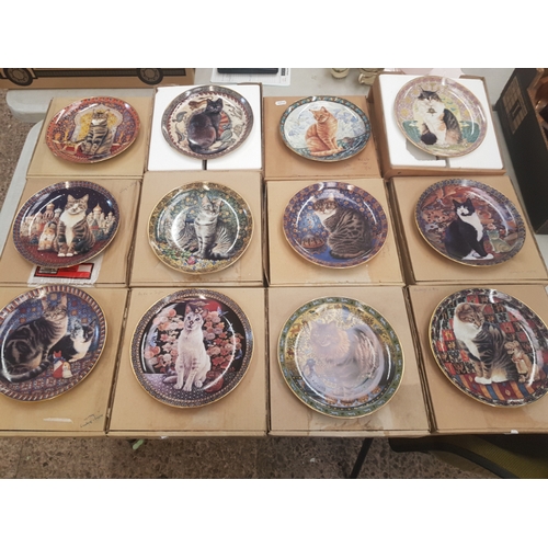 560 - A collection of decorative wall plates, Danbury Mint 'Cats Around the World' series (12)