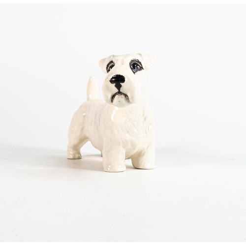 37 - Beswick Sealyham terrier 971