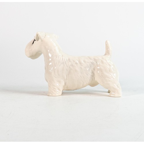 37 - Beswick Sealyham terrier 971