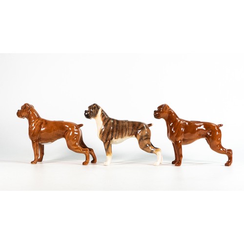 39 - Beswick dogs Tan & Brindle Boxers 