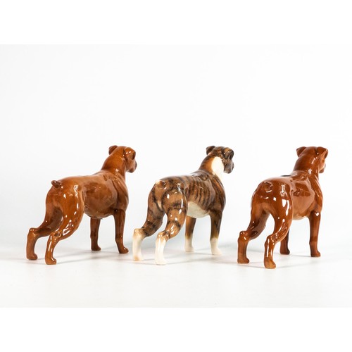 39 - Beswick dogs Tan & Brindle Boxers 