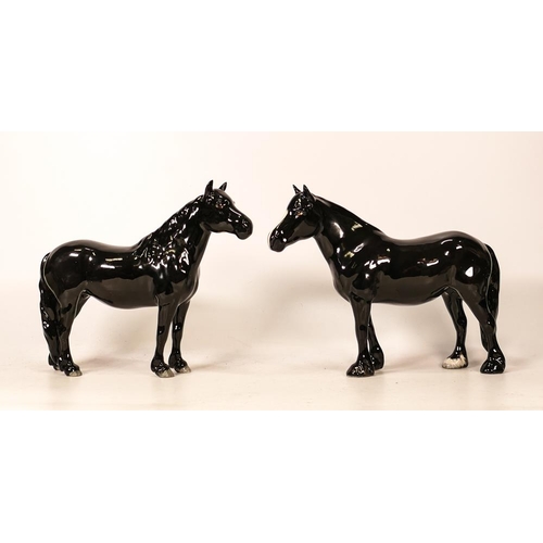 63 - Beswick Fell pony in black gloss 1647 & Dale pony 'Maisie' 1671(2)