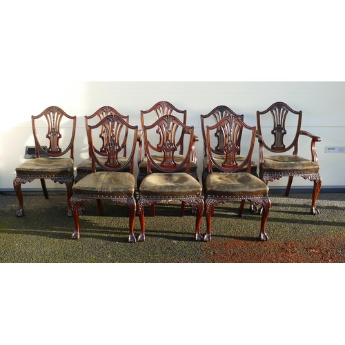 482C - Hepplewhite style Mahogany 6 chairs and two carvers with ball and claw feet