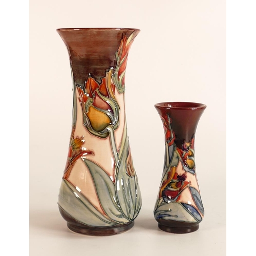 53 - Moorcroft Red Tulips vase together with a matching smaller one. Height of tallest 20cm. Both boxed