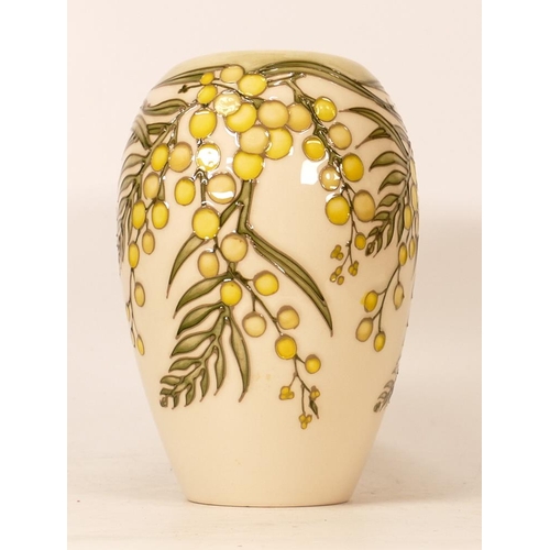 64 - Moorcroft Wattle vase. Height 18cm, Boxed