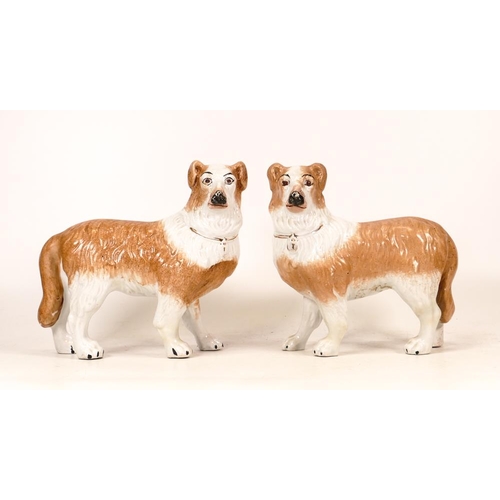 157 - A Pair of Victorian Fireside Dogs with Gilt Collars. Height: 18cm (2)