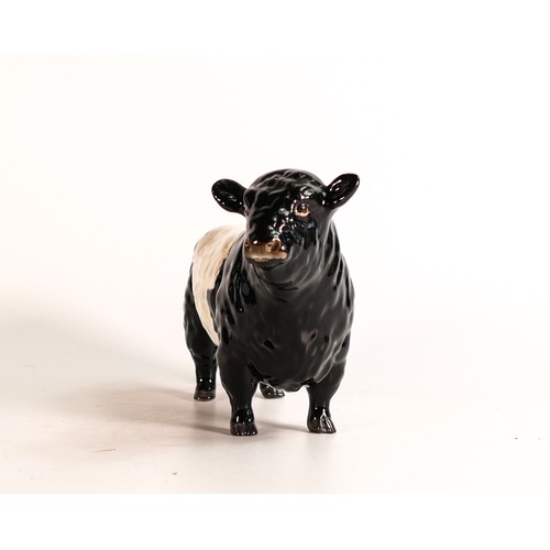 89 - Beswick rare Belted Galloway bull 1746B in good condition.