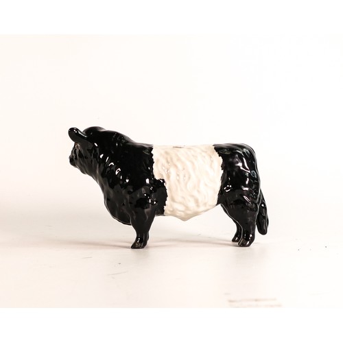 89 - Beswick rare Belted Galloway bull 1746B in good condition.