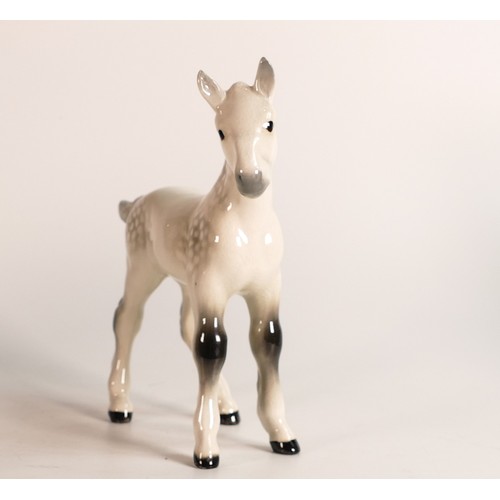 109 - Beswick large Shire foal in grey gloss 951