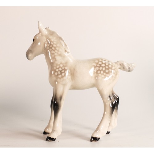 109 - Beswick large Shire foal in grey gloss 951