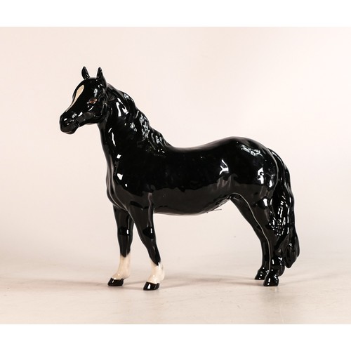 123 - Rare Beswick black gloss Pinto pony 1373, first version. Good condition, no factory back stamp.